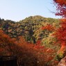 京都補完計画 其ノ拾弐