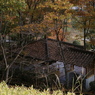 晩秋の東屋