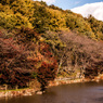 三井池遊歩道①