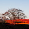 三井池公園の龍神橋