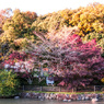 三井池の遊歩道④