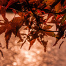 三井池の紅葉④