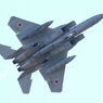 エアフェスタ浜松2012　F-15