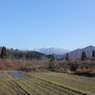 It's winter soon (7)