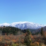It's winter soon (10)