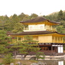 IMGP0592