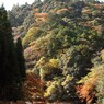 京都補完計画 其ノ拾参