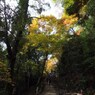京都補完計画 其ノ拾肆