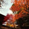 京都補完計画 其ノ拾伍
