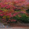 赤の信州 4