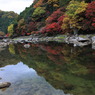 香嵐渓紅葉当たり年