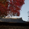 神護寺