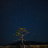 星を見上げて