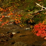 河内貯水池の紅葉と川