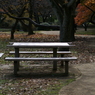 useing@
