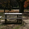 useing@