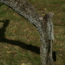 useing@