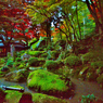 教林坊名勝庭園（小堀遠州作庭）