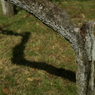 useing@