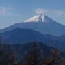 扇山（山頂）