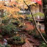 常寂光寺　＃９