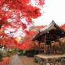 常寂光寺　＃１２
