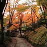 常寂光寺　＃１６