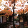 常寂光寺　＃１７