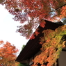 常寂光寺　＃１９