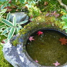 水鏡