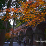 紅葉と水路閣