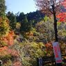 払沢の滝　付近