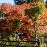 払沢の滝（日本の滝100選）