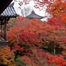 京都　東福寺