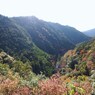 京都補完計画 其ノ拾陸
