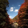 京都補完計画 其ノ拾玖