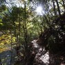 京都補完計画 其ノ弐拾