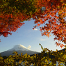 紅葉と富士