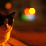In a night corner.