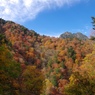 渓谷の秋⑮