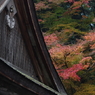 IMGP2455