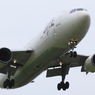 JAL A300-600R