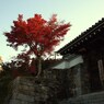京都補完計画 其ノ参拾