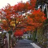 京都補完計画 其ノ参拾壱
