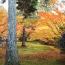京都補完計画 其ノ参拾伍