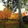 京都補完計画 其ノ参拾陸