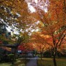 京都補完計画 其ノ参拾柒