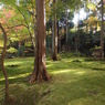 京都補完計画 其ノ肆拾