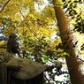 京都補完計画 其ノ肆拾玖