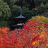 錦の多宝塔　